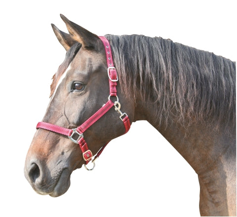 Abi producten mustang halster 2x verst roodzwart 1 pony