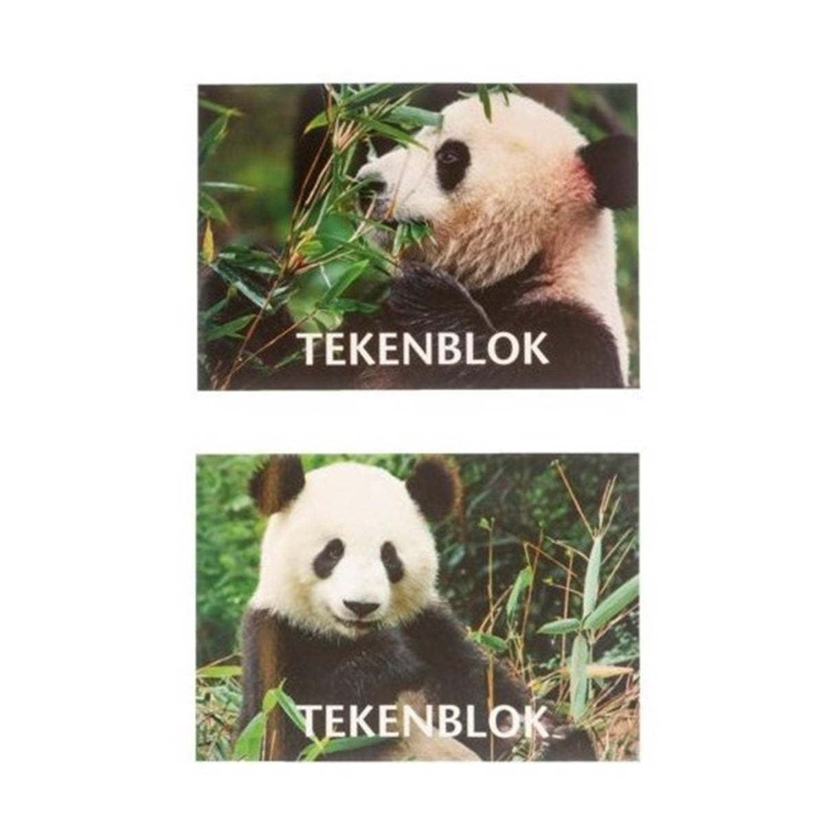 Quaderno da disegno in papiro a5 panda 14,8x 21 cm 10 pz