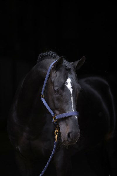 Topline halster blauw 1 pony