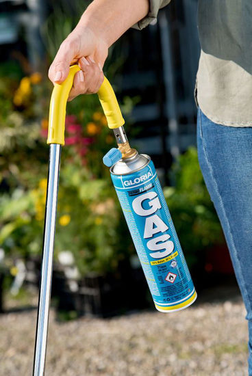 Gloria onkruidbrander thermoflamm bio classic in display | 12 stuks