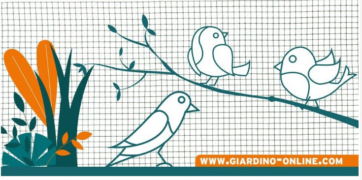 Giardino producten gaas gelast groen 127110 051m x 5m