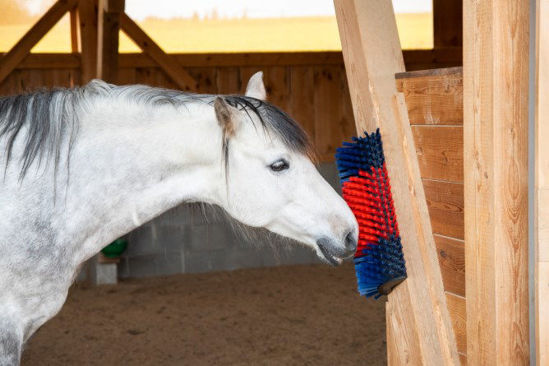 Halfronde koeborstel veeborstel blauwrood xl