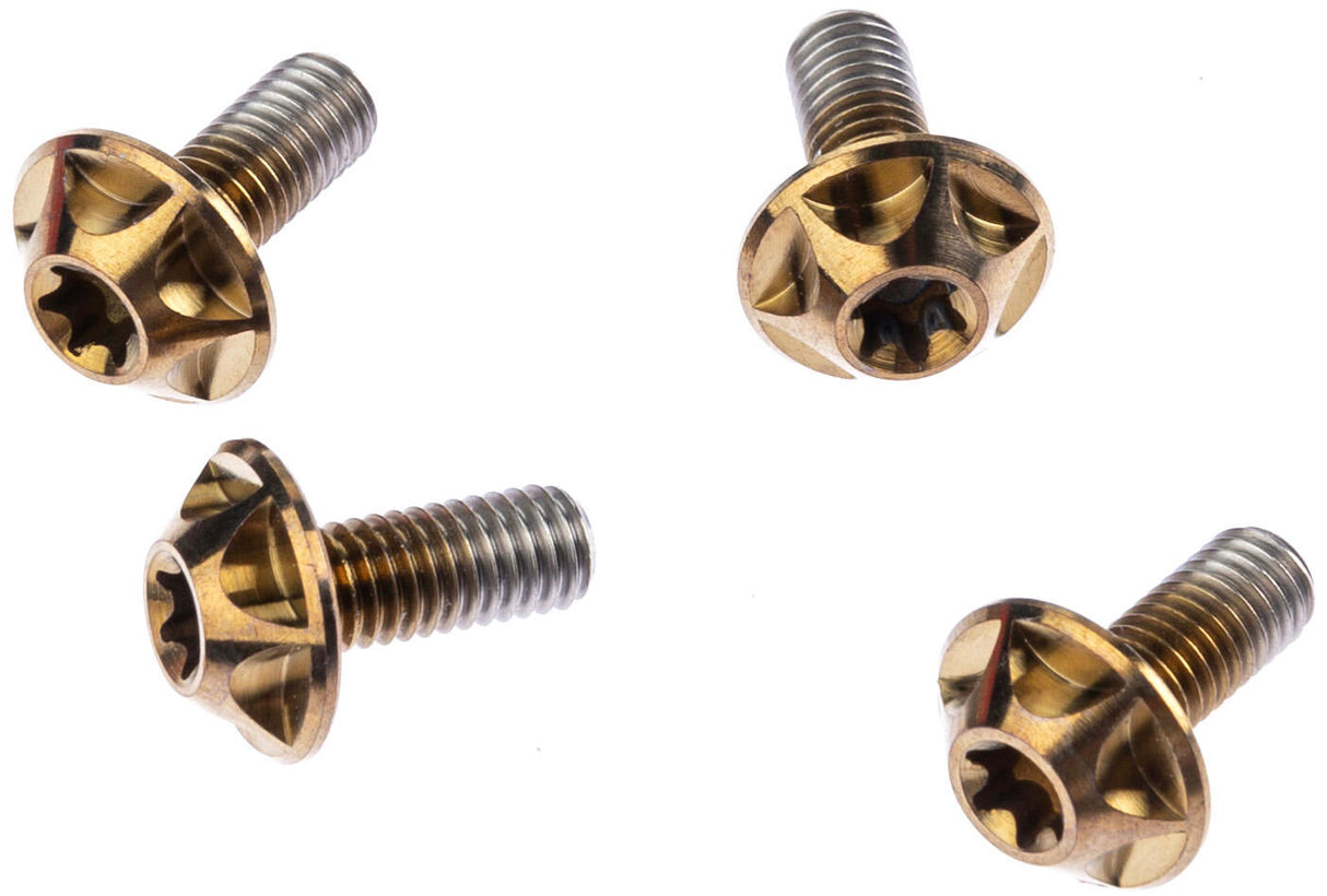 Silca mounting bolt screw bourbon 4pcs.