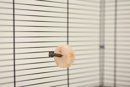 Kerbl himalaya liksteen 80g %c3%b85cm inclusief houder