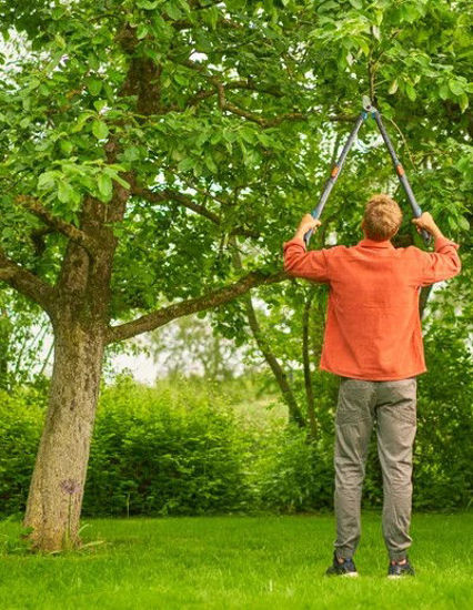 Gardena pruning shears telecut pro l