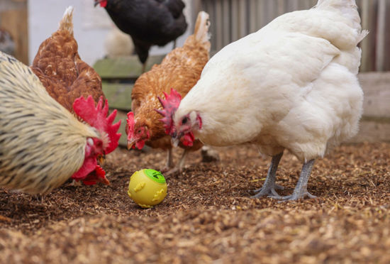 Snackbal voor kippen %c3%b8 75 cm geel