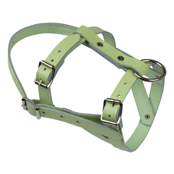 Geiten schapenhalster leer