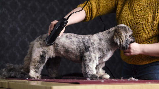 Moser tondeuse prof max45 1mm