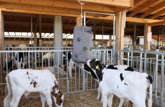 Hooizak hay bag canvas 70 x 50 cm