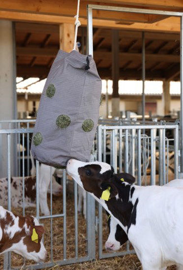 Hooizak hay bag canvas 70 x 50 cm