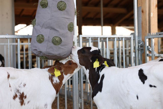 Hooizak hay bag canvas 70 x 50 cm