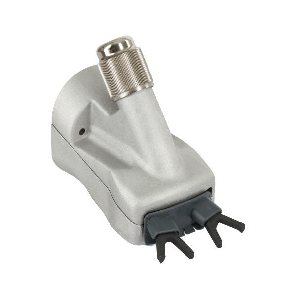 Pecora con testa da barba Constanta