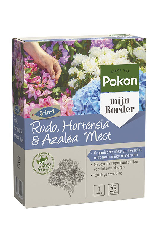 Pokon hortensia rhododendron azalea mest 1kg