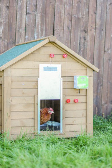 Automatische kippendeurset 30x40cm