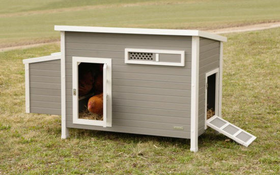 Kippenhok eco stal kunststof barney