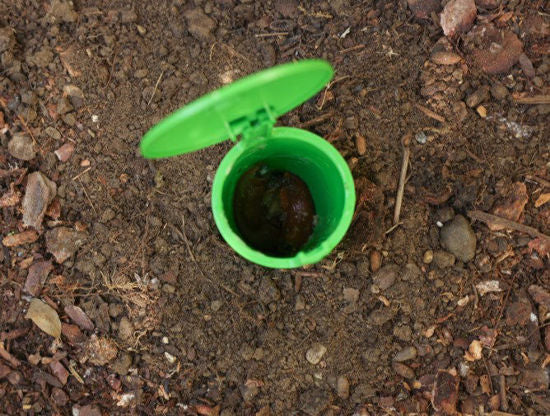 Slakkenval snailbowl 15cm