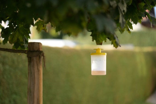 Kerbl vliegenval flycage3