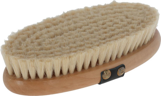 Paardenborstel met houten rug