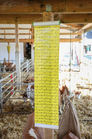 Kerbl flymaster vliegenrol 7 mtr 30 cm