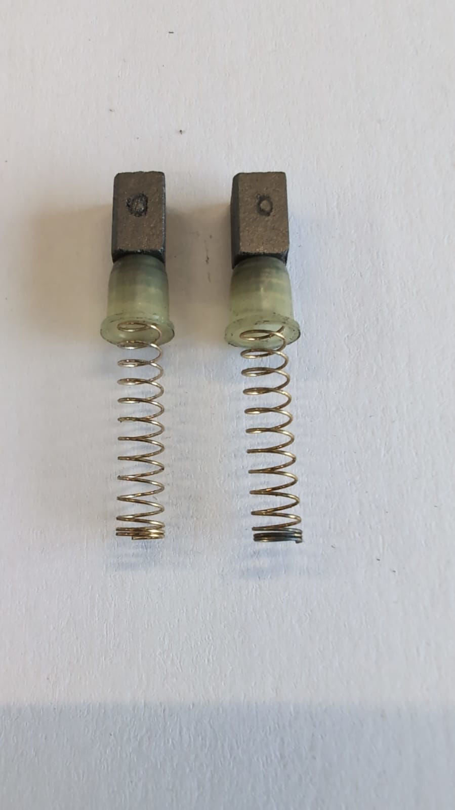 Oster koolborstelveer set voor golden a 5