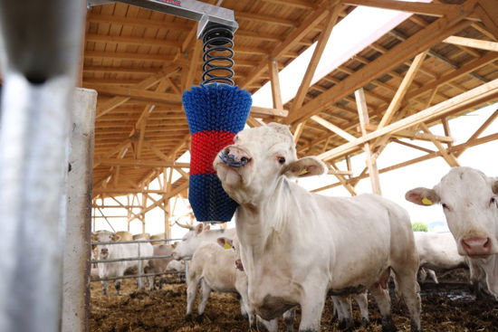 Happycow veeborstel flexiswing