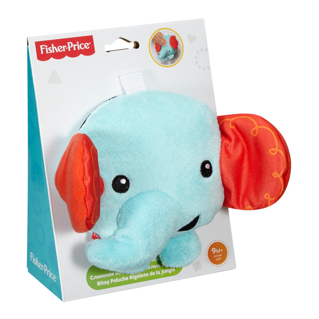 Fisher Price Peek-a-Boo Kuscheltier mit Sound