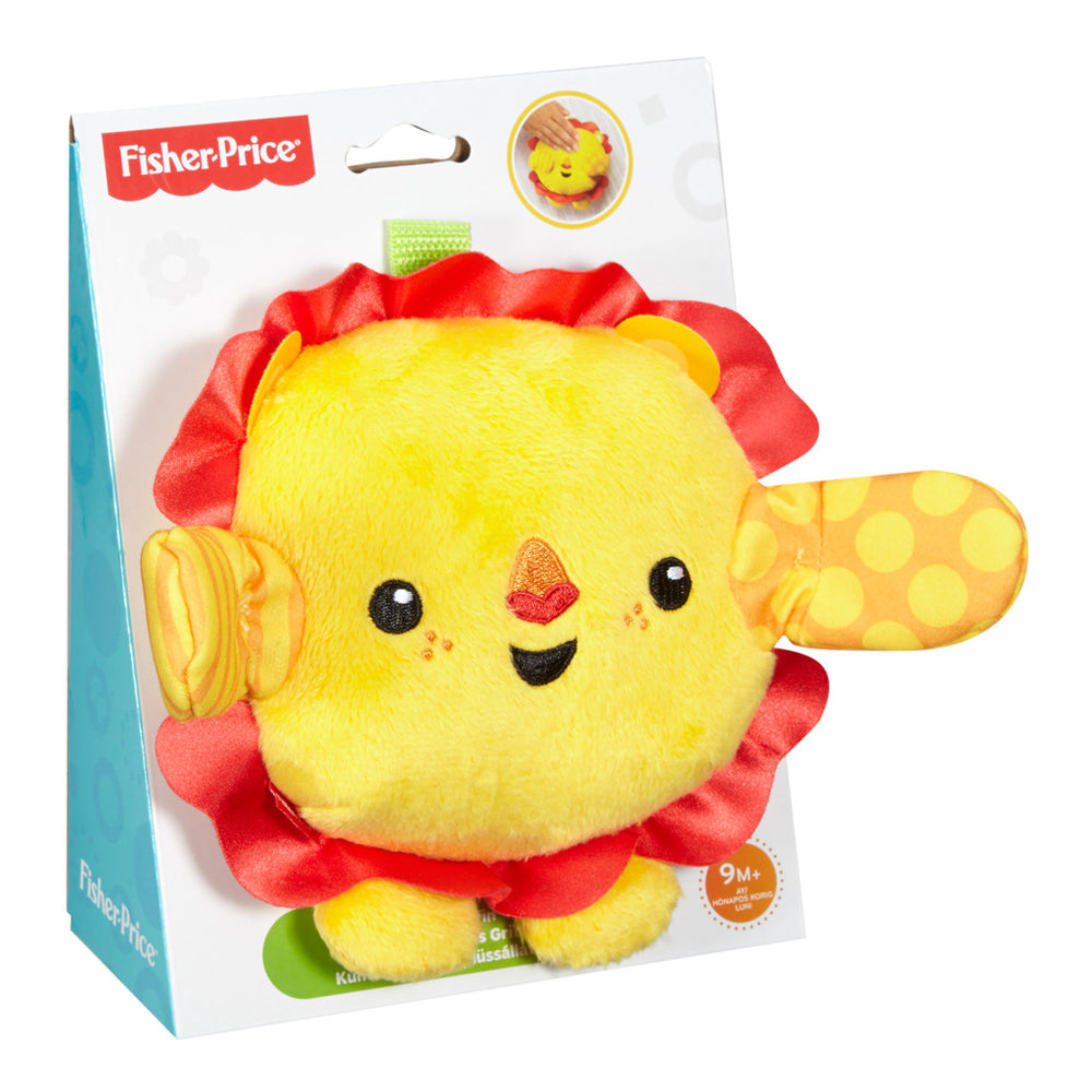 Fisher Price Peek-a-Boo Kuscheltier mit Sound