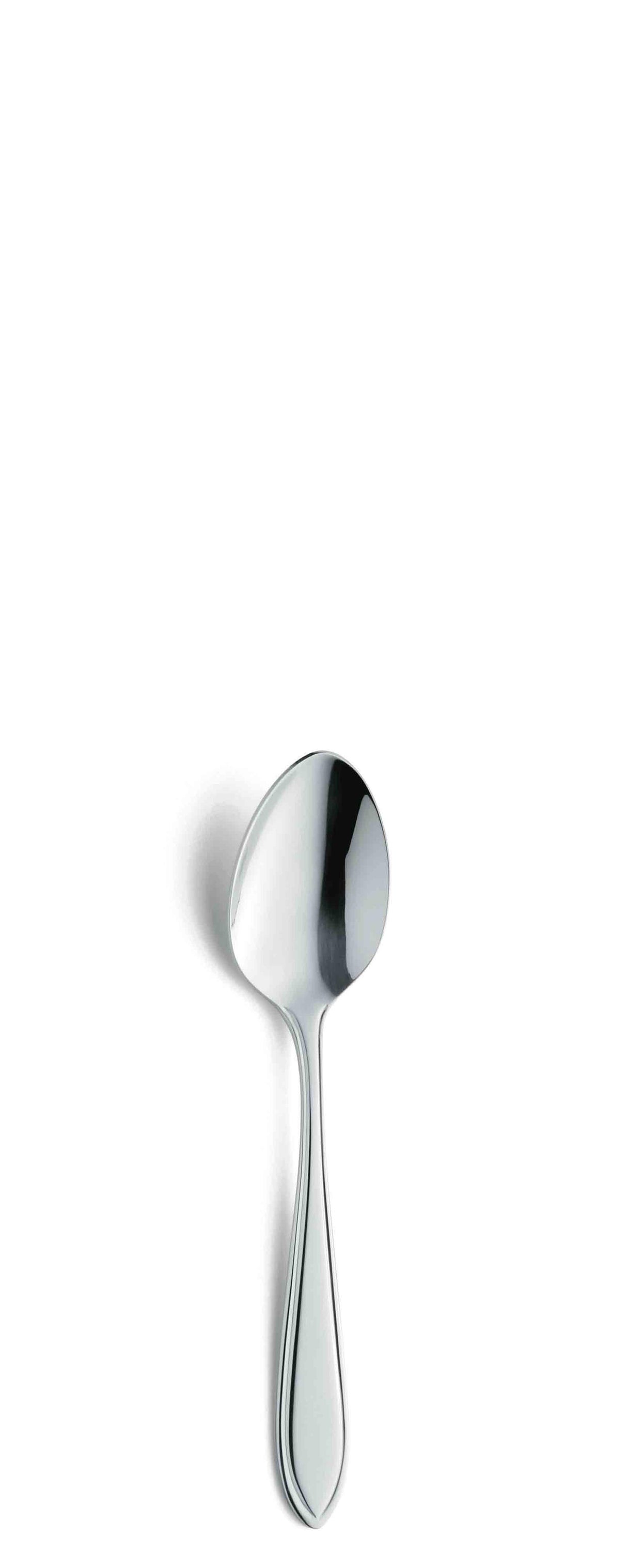 Amefa teaspoons fillet 12 pcs in c c box