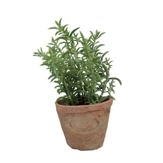 Tomillo de diseño de esschert en marihuana de terracota envejecida