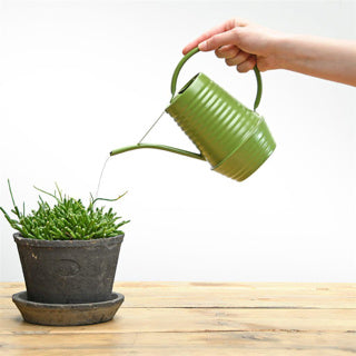 Diseño de Esschert dentro de Gieter Tonos vegetales Surorti