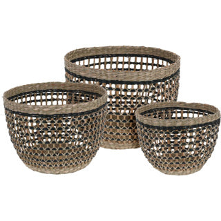 Canastas alrededor del set de pastos marinos3