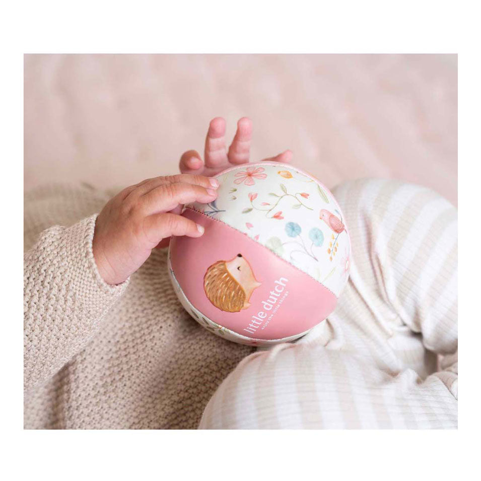 Piccolo softball olandese nel giardino delle fate