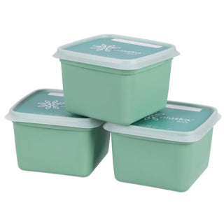 Dbp boîtes de congélation alaska carrées 0,75l 3 pièces vert menthe