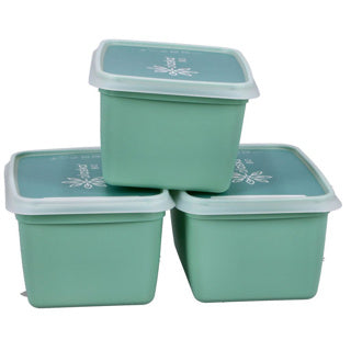 Dbp alaska zamrzovalne škatle pravokotne 1l 3 kosi mint zelene