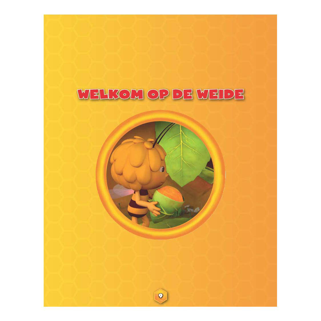 Studio 100 maya omnibus - feest