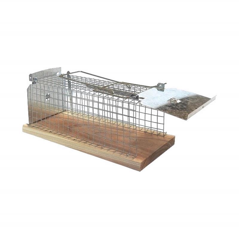Bsi mouse trap cage 15x7x6cm