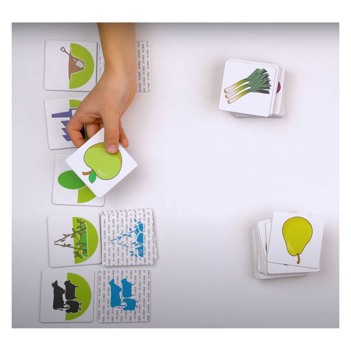 Rolf základy – kde a ako rastie naše jedlo?