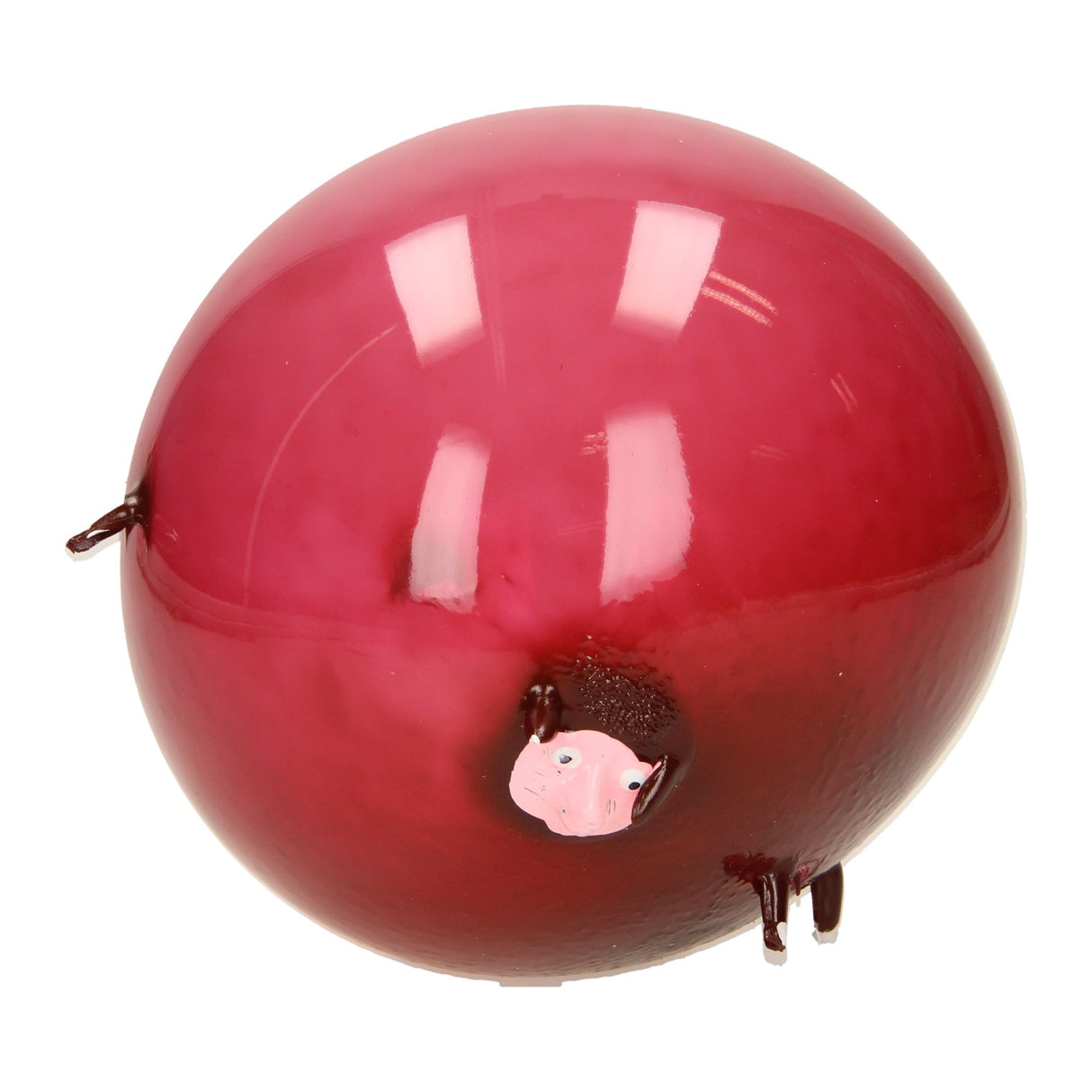 Duckiez Ballon Ball Déieren