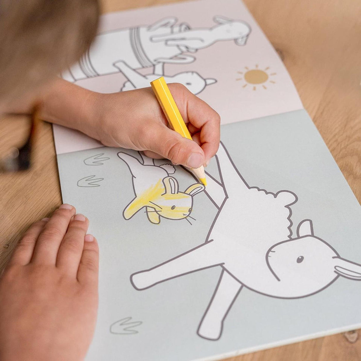 Petit livre de coloriage hollandais, petite ferme