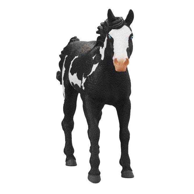 Schleich konjski klub barva konjski kastrat 14900