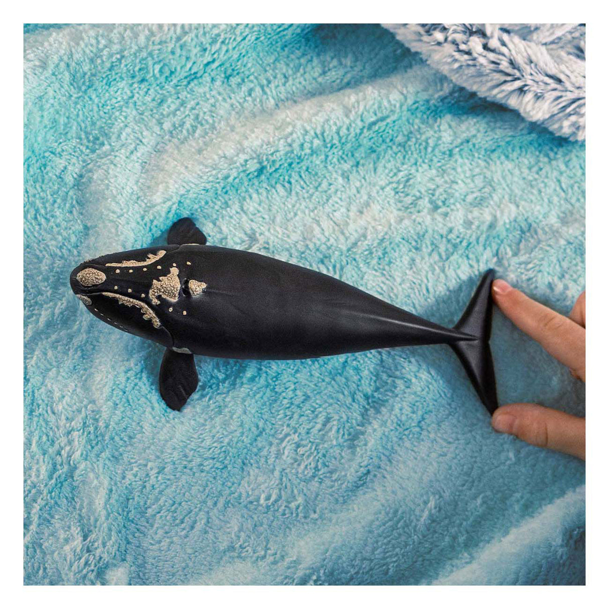 Schleich wild life North Atlantic right whale 14878