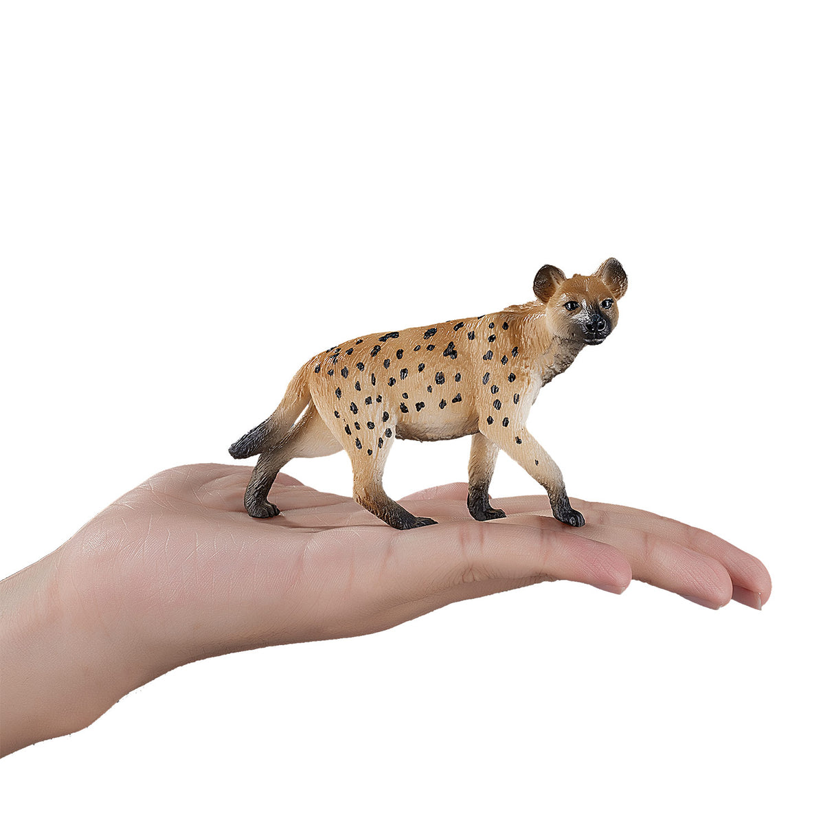 Mojo Wildlife Iena 387089