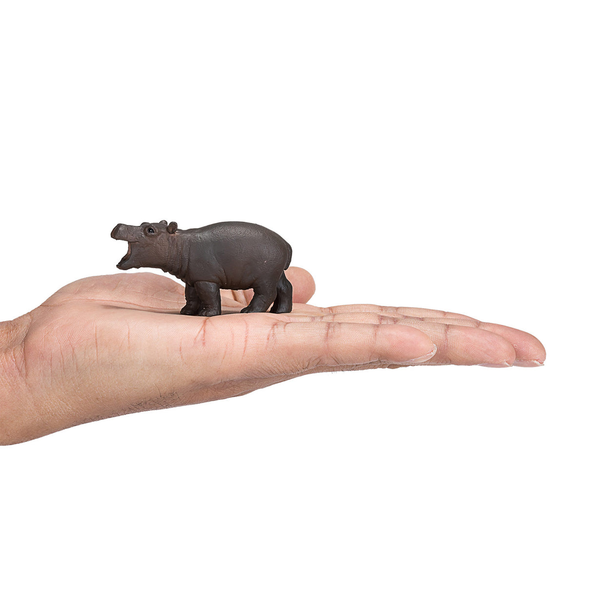 Mojo Wildlife Baby Hippopotamus 387246