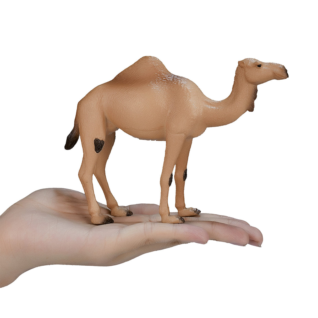 Mojo Wildlife Arab Camel 387113
