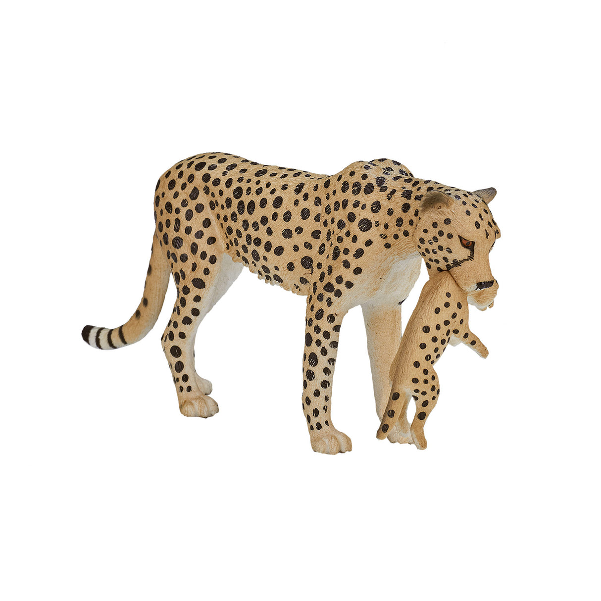Mojo wildlife cheetah female with cub 387167