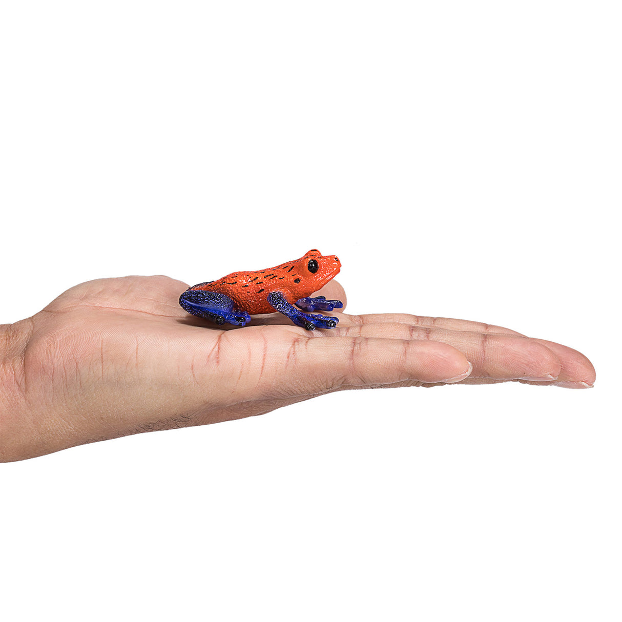 Mojo willife pijl gife boomkikker 381016