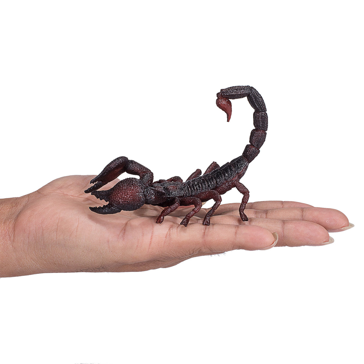 Mojo Wildlife Emperor Scorpion 387133