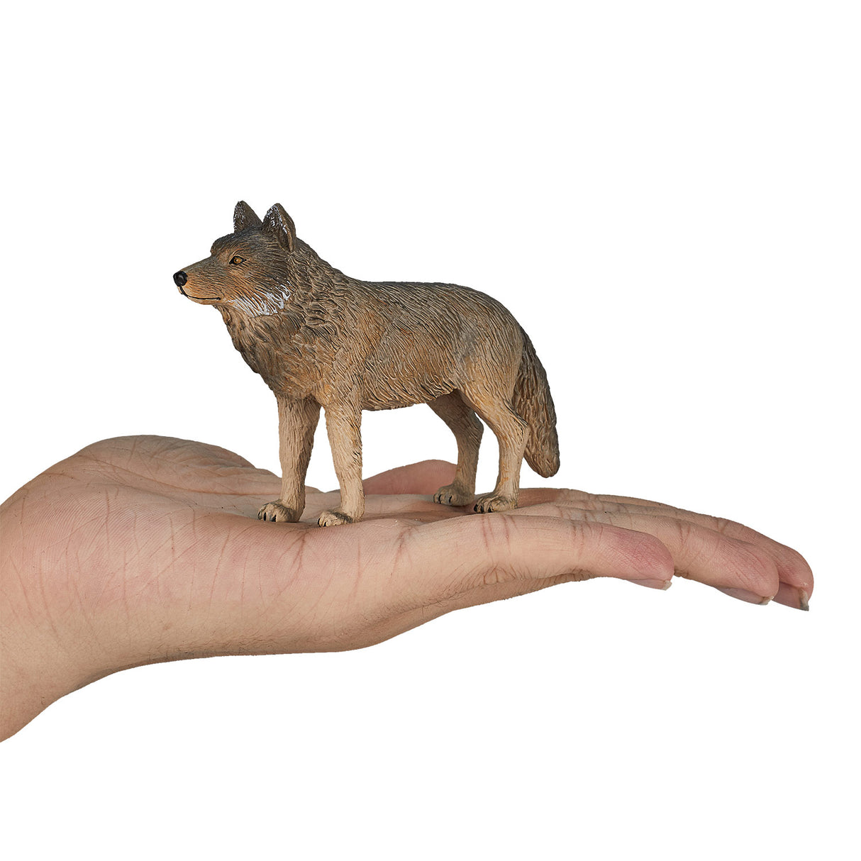 Mojo Wildlife Timber Wolf Standing 387025