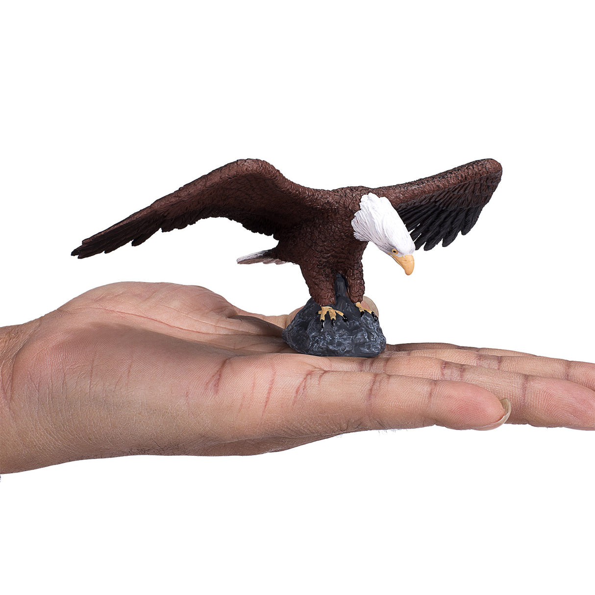 Mojo Wildlife Bald Eagle 387027