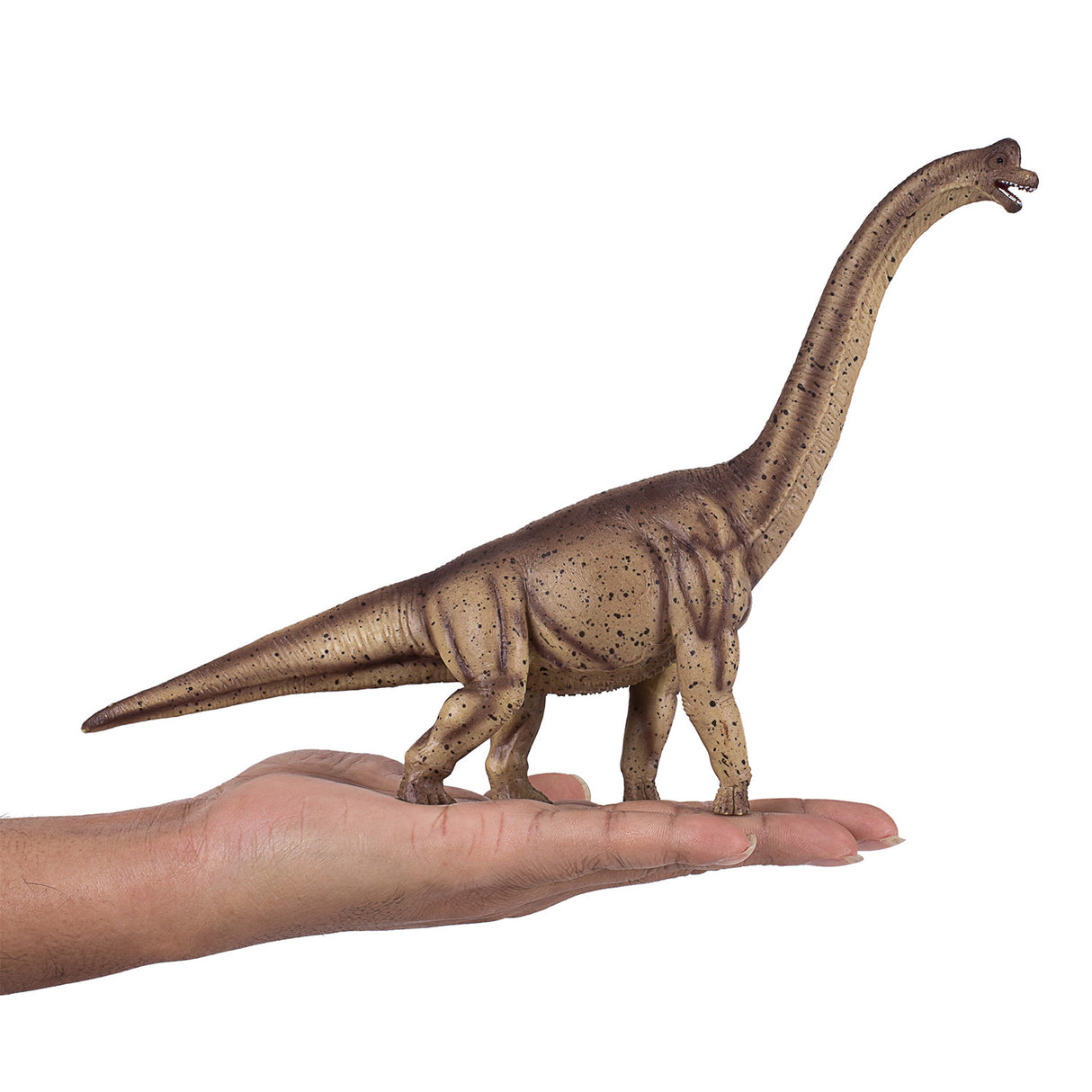 Mojo Prehistorie Deluxe Brachiosaurus 387381